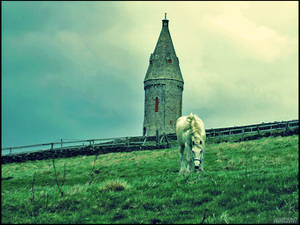 The Guardian Of Hartshead