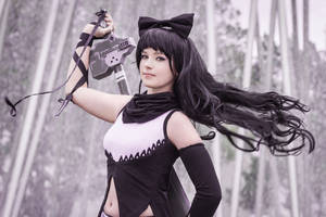 RWBY - Blake Belladonna