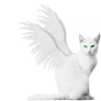 White Winged Kitty PNG Stock Green Eyes