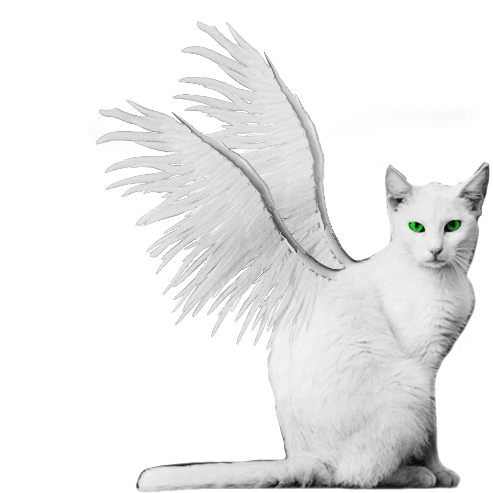 White Winged Kitty PNG Stock Green Eyes Burned