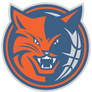 Charlotte Bobcats Alternate 10 Logo.svg png