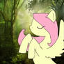 Fluttershy Woods