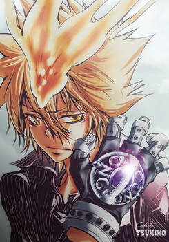 Vongola Primo - target 327