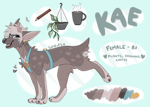 KAE REF {SONA}