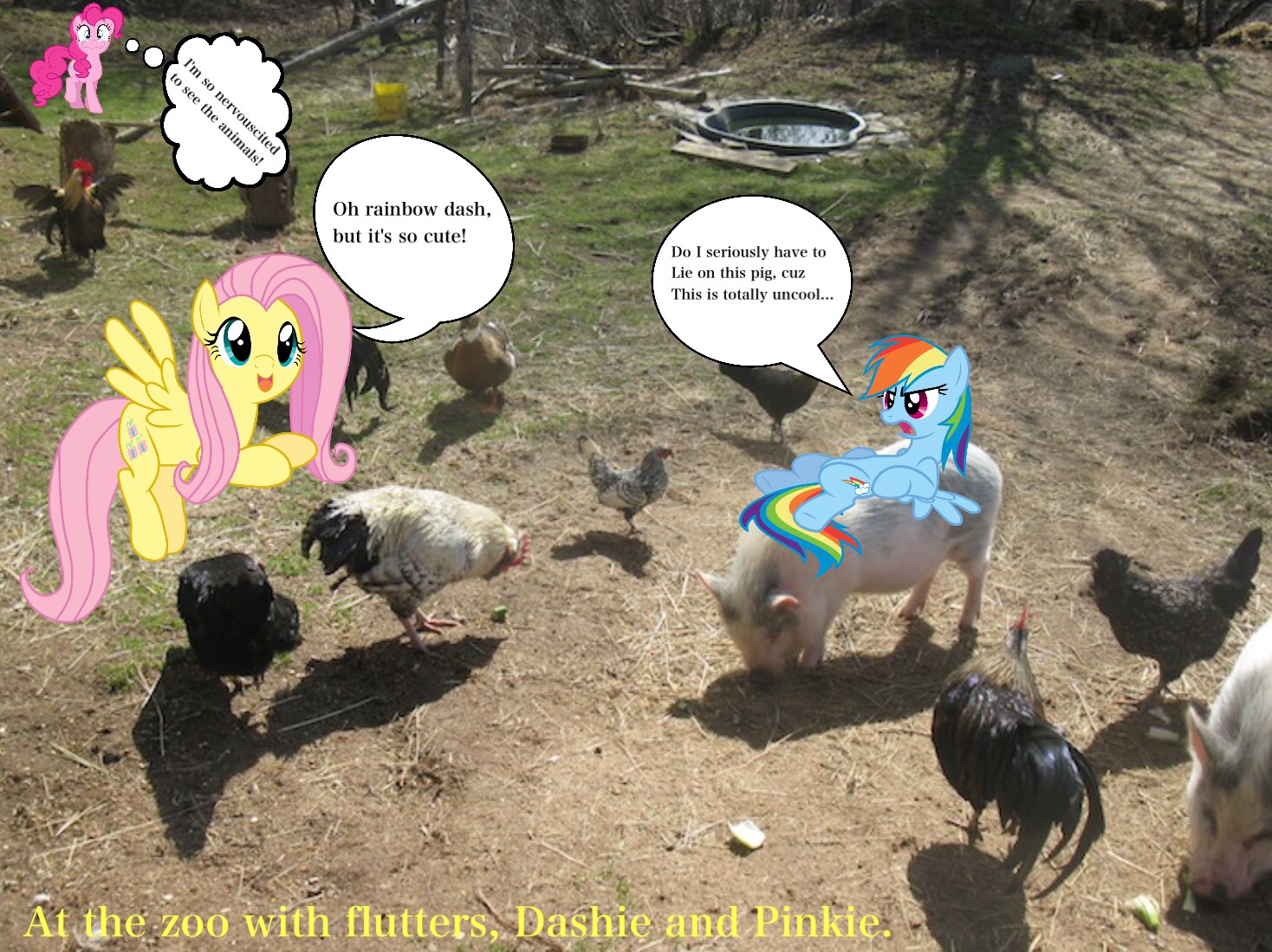 Fluttershy and friends at the petting zoo