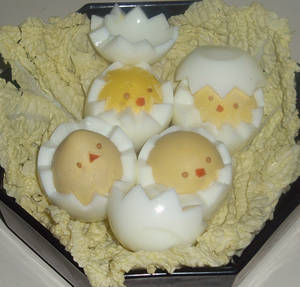 Bento - Egg Chicks