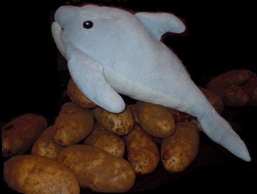 Dolphin On Potato