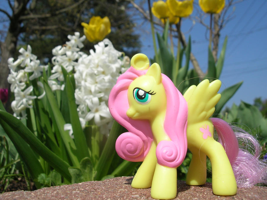Flutterdaisy Fluttershy Flowers by Drake-Ryu on DeviantArt