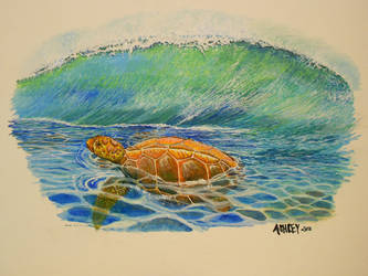 another turtle with wave