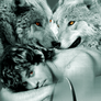 Wolf Eyes: BtVS-Any Werewolf