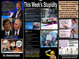 This week's stupidity