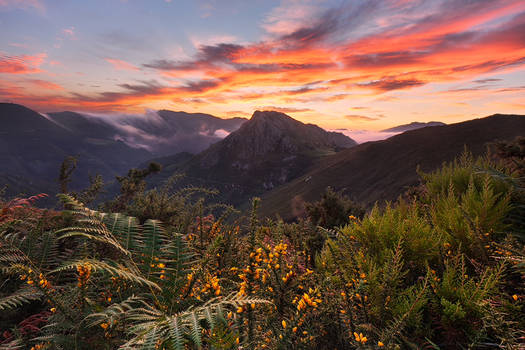 Picos de Europa