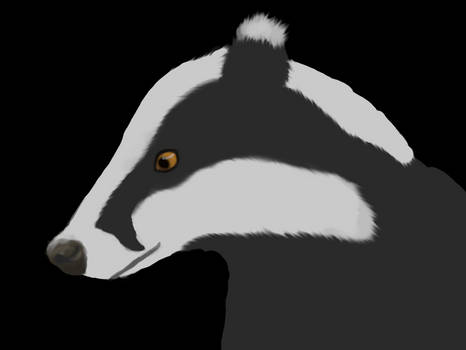 Badger WIP