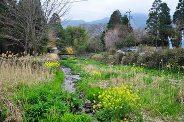 Flowers Park - Fukuoka, Japan