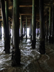 Under the boardwalk