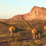 The Long Haul: Cretaceous Wyoming 108 Ma
