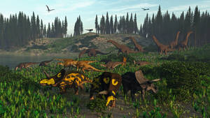 Javelina Formation: Cretaceous 67Ma