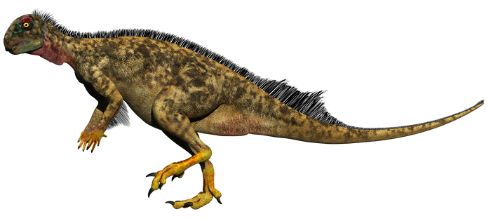 Oryctodromeus