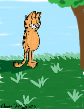 Garfield Study