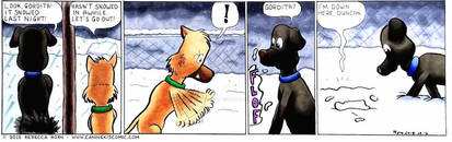 Canine Kid 26: Snowed In