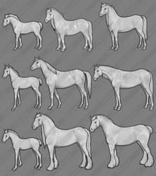 Horse Images