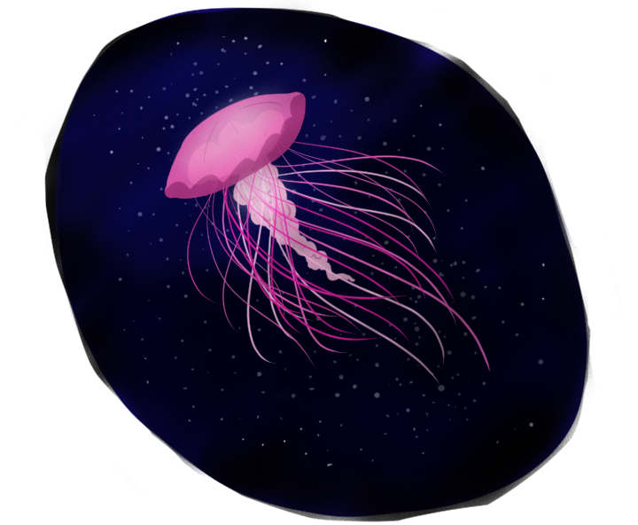 Jellyfish