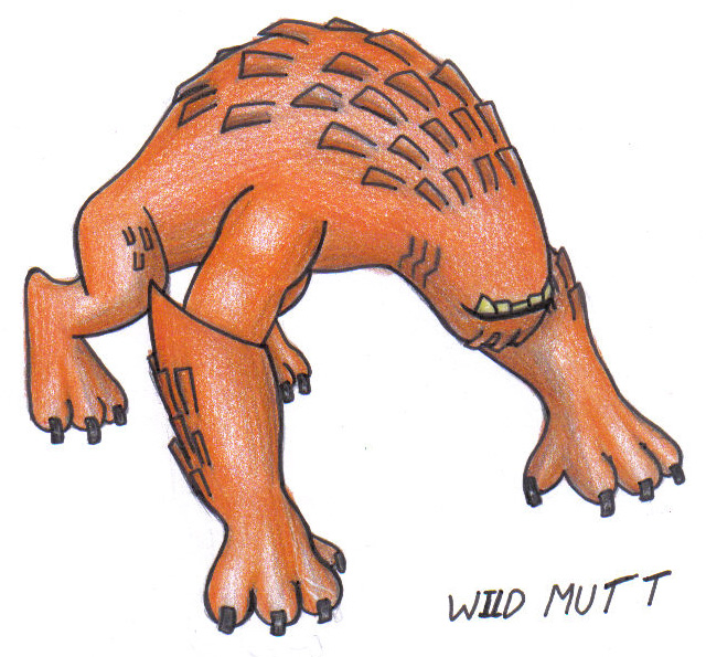 Wild Mutt