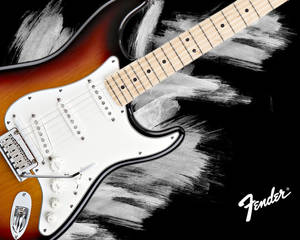 fender stratocaster