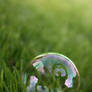 Love in a Bubble