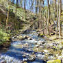 A stream in the middle of nowhere