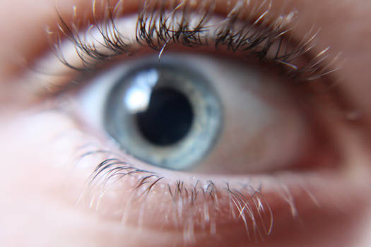 Macro Eye