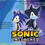 Sonic Unleashed Fanfic poster