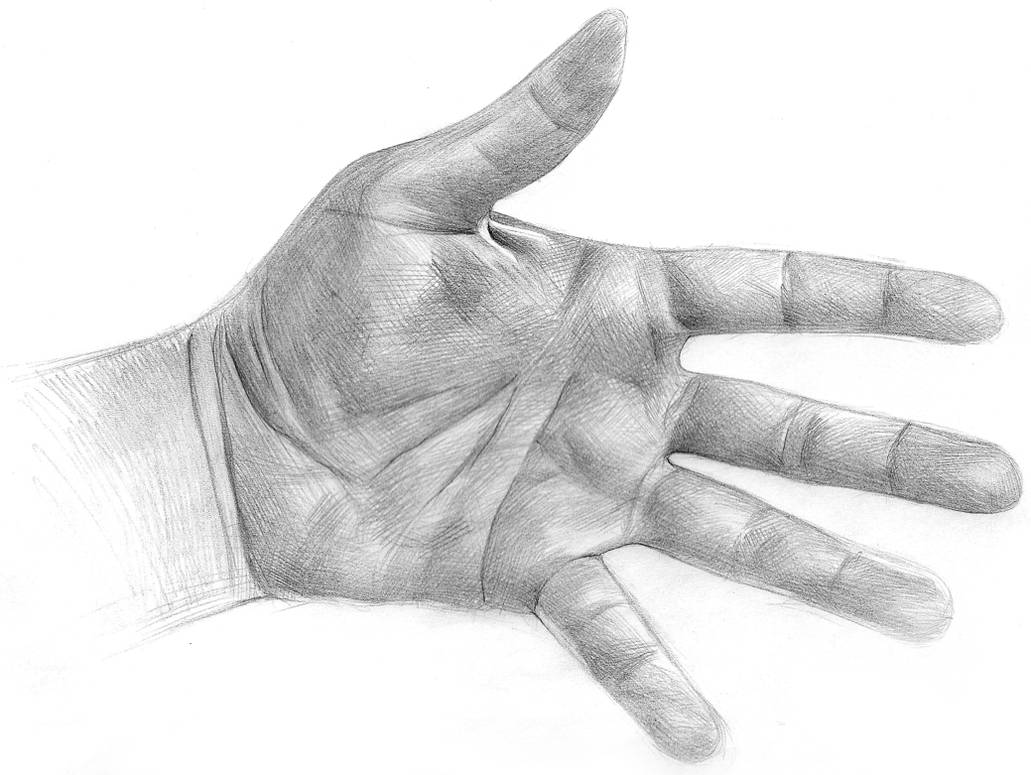 Hand Sketch by LuisSanchez on DeviantArt