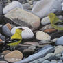 Goldfinches