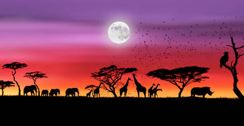 Africa Silhouette 2046x1062