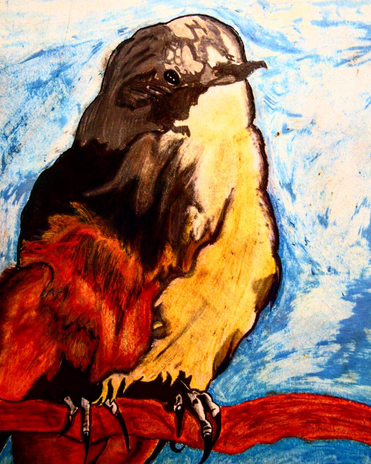 The Oklahoma State Bird (Pastel Painting)