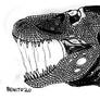 Tyrannosaurus Head Study