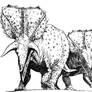 Triceratops Horridus (Digital Drawing)