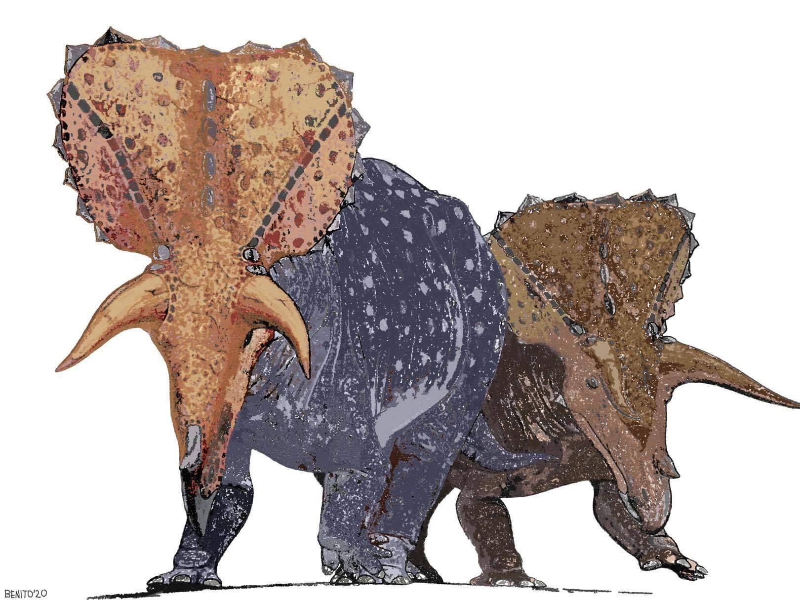 Triceratops Horridus (Digital Painting)