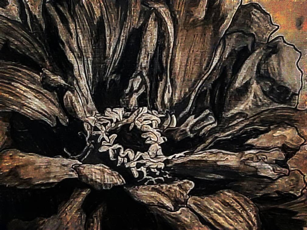 Zinnia (Traditional Art)