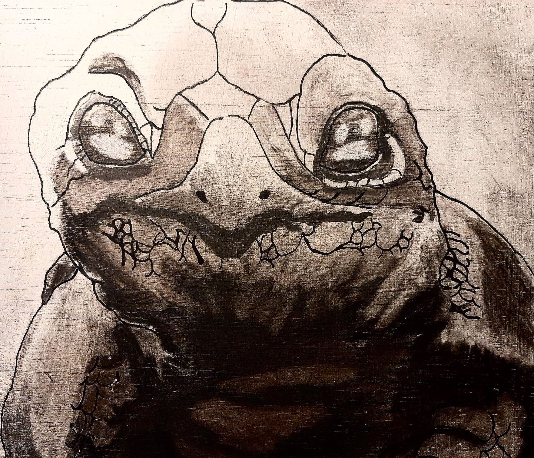 Realistic Squirtle (Traditional Art)