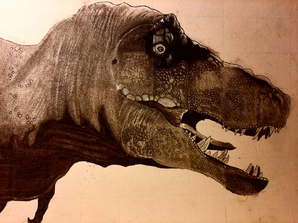 Fang (Sketchbook Drawing)