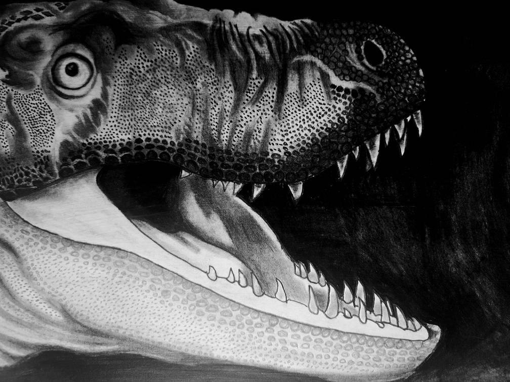 Jane the Pygmy Tyrant (Traditional Drawing)