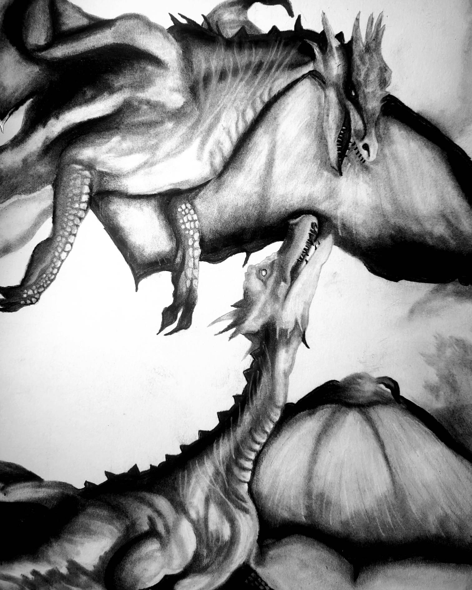 A Fantasy Made Real (Traditional Drawing)