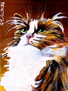 A Fluffy Tabby (Traditional Painting)