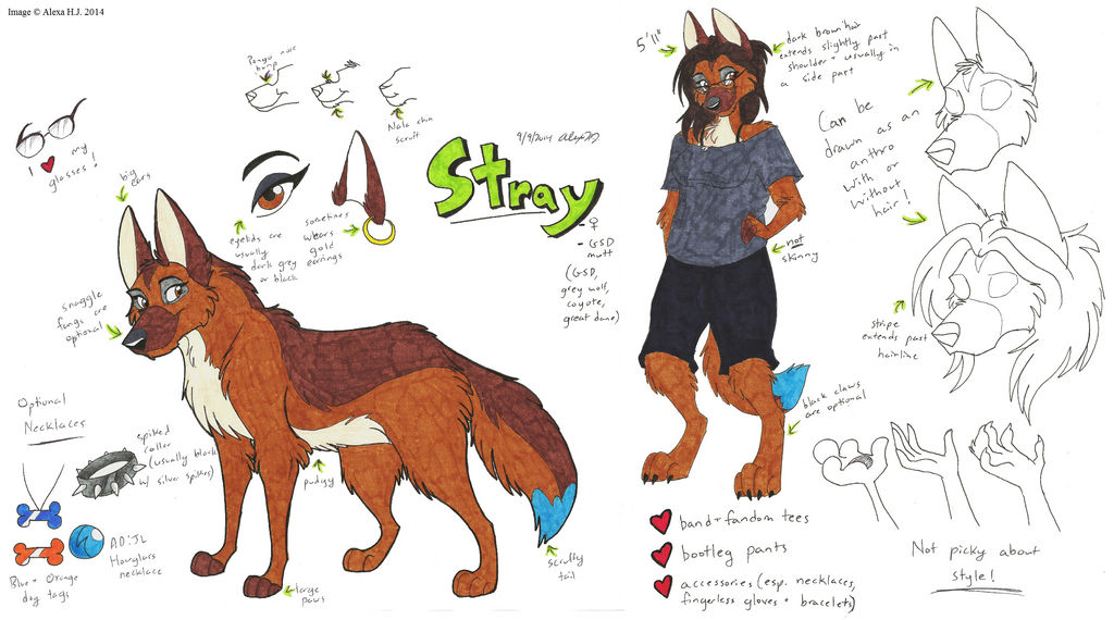 Stray Rattings Stray Ref 2014 by Stray-Sketches on DeviantArt