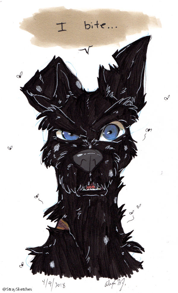 Isle of Dogs-I Bite by Stray-Sketches