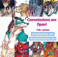 Commissions Open