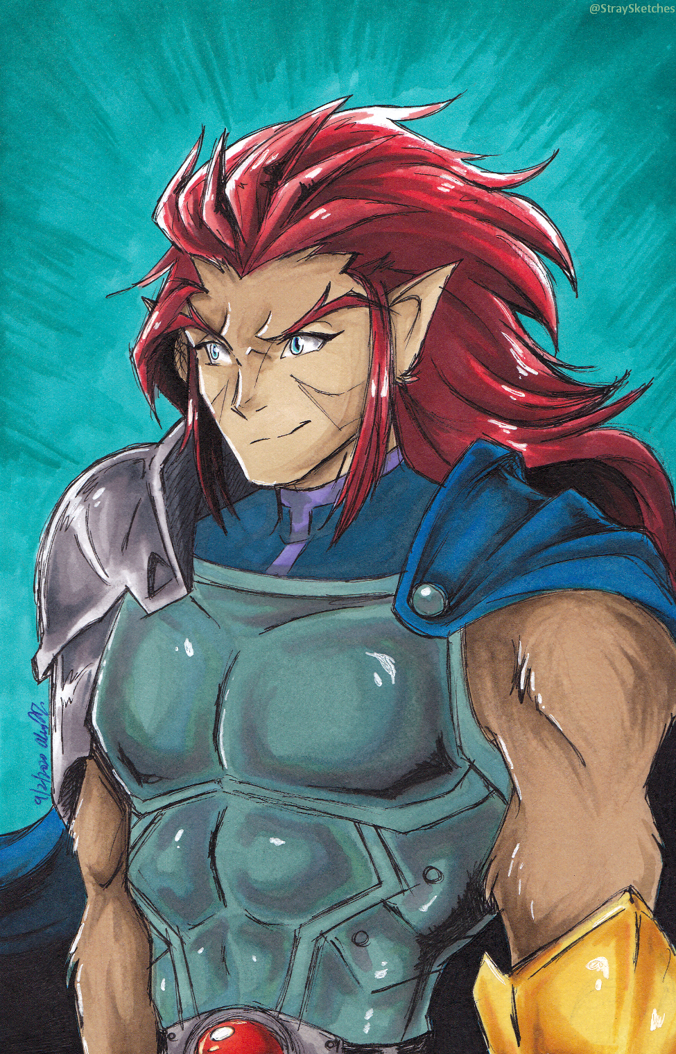 Lion-O Lord of the Thundercats  Thundercats cartoon, 80s cartoons,  Thundercats characters