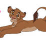 Point Adopt Lioness Cub SOLD